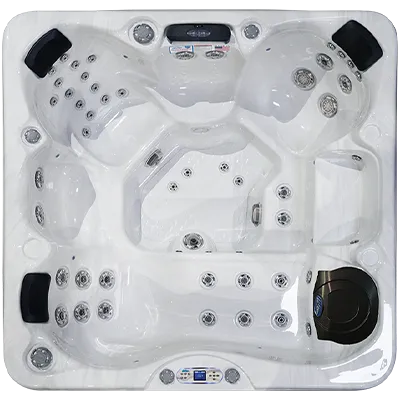 Avalon EC-849L hot tubs for sale in Federal Way