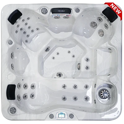 Avalon-X EC-849LX hot tubs for sale in Federal Way